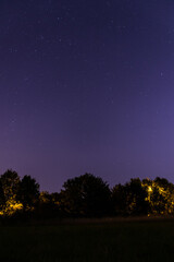 Starry violet sky in english park