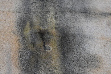 El encanto de la humedad