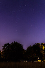 Fototapeta na wymiar Starry violet sky in english park