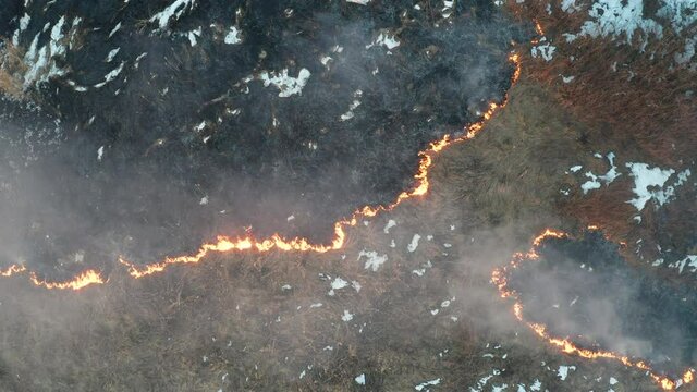 Aerial view of wildfire on the field. Huge clouds of smoke