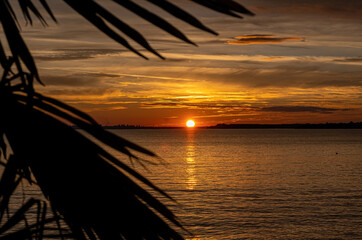 A sunset on the seashore. Soft sea ocean waves wash over golden sand background