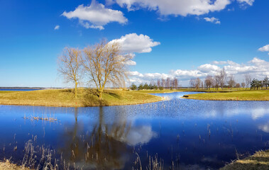 Sunny spring landscape with small lakes on flooded meadows on the banks of Kisezers in Riga, Latvia. White cumulus clouds are reflected in the water.