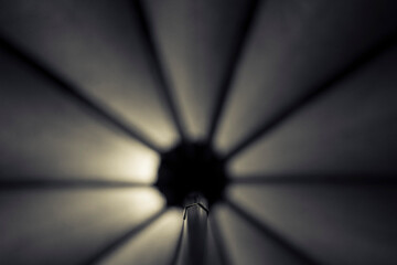 silhouette of umbrella with backlight