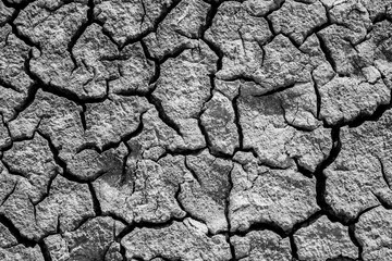 texture of cracked dry mud