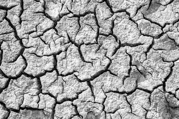 texture of cracked dry mud