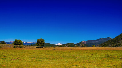 Fototapeta premium Patagonia landscape. A green large meadow with a few trees and the mountians behind. Under a clear blue sky 