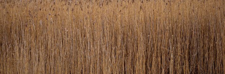 view of the tatrak wall