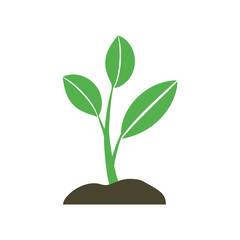 plant sprouting from ground. Symbol of ecology, environmental awareness