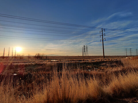 Autumn field with wild dry grass and high-voltage lines under a blue sky during sunset