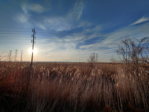 Autumn field with wild dry grass and high-voltage lines under a blue sky during suns