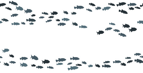 School of carp fish swimming vector frame print.