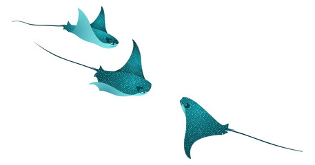 Manta ray fishes, marine animals, sea creatures vector collection. © SunwArt