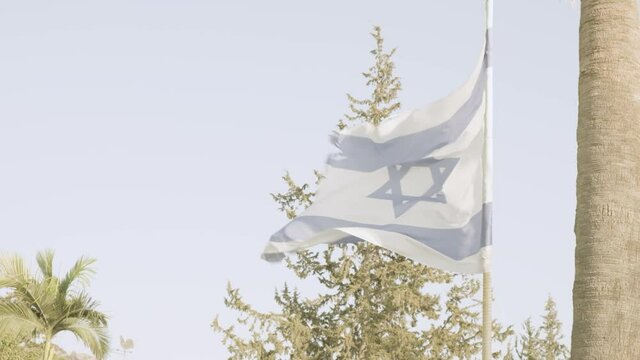 Israel flag waving in the wind, Sky, Sun and trees Background.The national flag of Israel the Holyland blowing in the wind, dramatic sky background. 4K. Golan heights Middle east. Blue and white