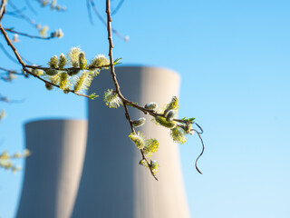 Willow catkins branch against a nuclear power plant