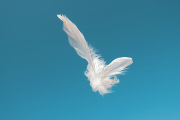 A white feather blown by the wind. 