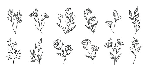Set of vector vintage floral elements. Cute set of doodle vector. Elements flowers, branches, swashes and flourishes