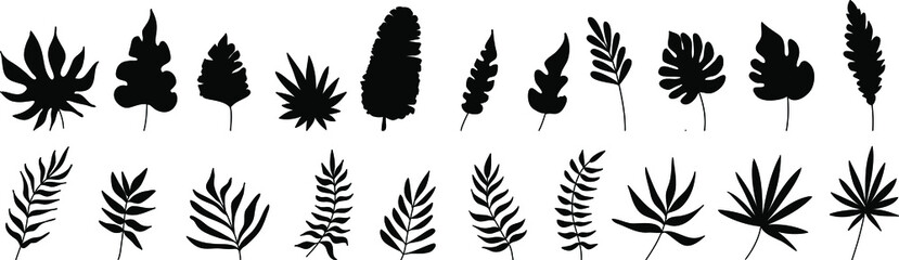 Hand-drawn Set of tropical leaves in silhouettes. Palm, monstera, banana tree. Elements flowers, branches, swashes and flourishes. Vector cute doodle isolated