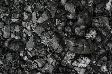 Black and gray pieces of burnt branches, in the remains of an extinguished fire. Charred branches...