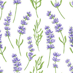 Hand drawn vector seamless pattern in retro style with violet lavender flowers and leaves. Decorative floral background for a wedding or branding design in purple and green colors