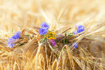 Wildflowers-blue cornflowers, yellow and purple are woven into a wreath of rye ears