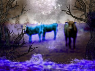 FANTACY 