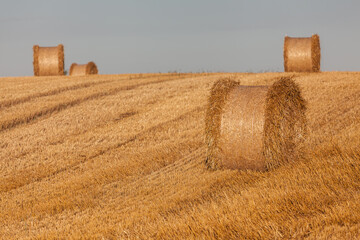 Fototapeta premium View of the Masurian fields.