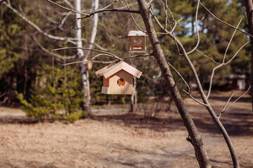 birdhouse, bird feeder, spring in the forest, nature