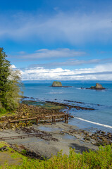 Fragment of ocean view from Cape Trail in Olympics park, Washington, USA