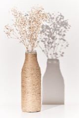 Plant in vase on the table
