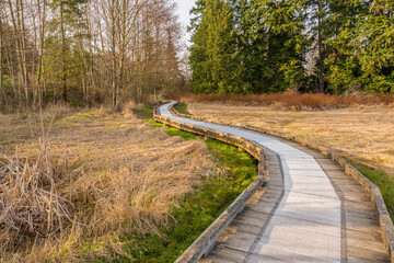 Trail through lush green forest in Deer Lake Park, Vancouver, Canada.