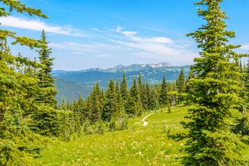 Rocky Mountains. Coastal Mountains. Blackwall Peak trail in Manning Park. British Columbia. Canada.