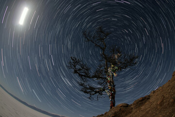 Astrophotography of the tracks of stars above the shaman tree on the island of Olkhon Lake Baikal in winter