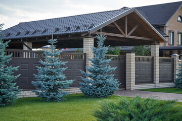 Beautiful blue spruce trees grow near the fence of a private house