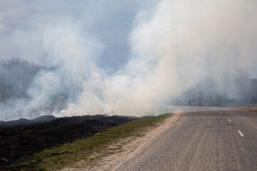 Burning dry grass in a field near the road. On a hot day, dry grass burns on the field. Careless handling of fire. Forest fire. Fire in the field. Lots of smoke.