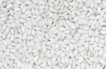 Close up shot of the rice background
