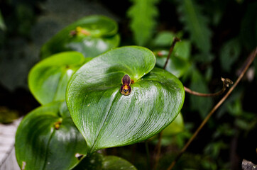 Naturaleza de Colombia 