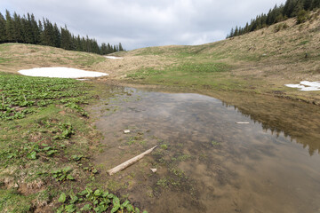 Mountain highland lake of melted snow water where newts lives in Carpathian region