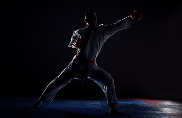 Martial arts master on fight training in gym