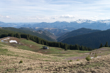 Fototapeta na wymiar Panoramic view of spring Carpathian Mountains