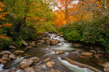 Obraz premium West Prong of the Little Pigeon River with Fall Colors