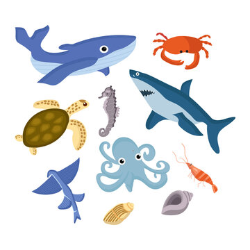 Set of marine life of the sea or ocean on a white background