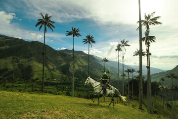 Valle del Cocora, Colombia