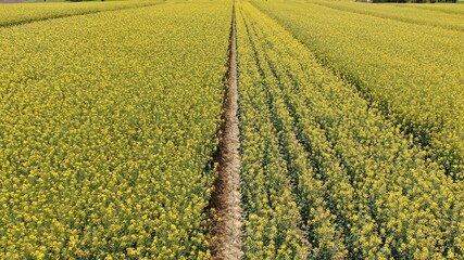 Lot-et-Garonne, France, Europe