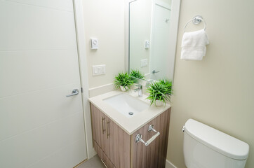 Fragment of a luxury bathroom