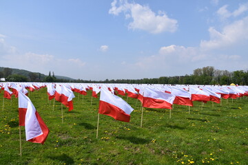 święto narodowe, 1 majowe, 3 maja, flaga Polski, symbol narodowy, Kraków - obrazy, fototapety, plakaty