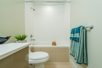 Fragment of a luxury bathroom