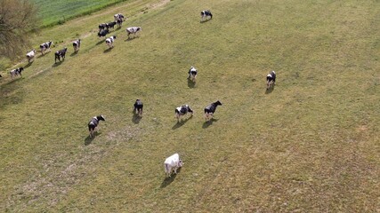 Lot-et-Garonne, France, Europe