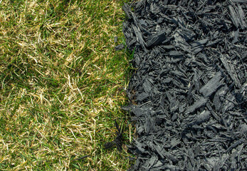 Gardening care of recovery green grass with eco-friendly black wood mulch, preparation for growing...