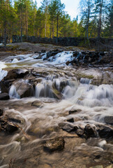 A forest stream in a Scandinavian forest in early spring, long exposure