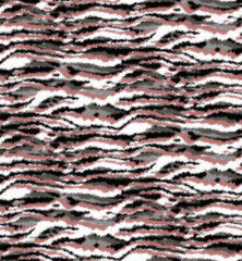 Seamless animal ikat zebra pattern.